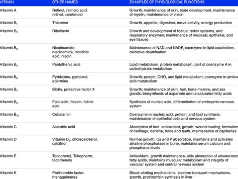 13 Vitamins And Their Functions