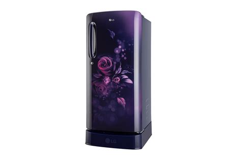 L Star Single Door Refrigerator Gl D Abeu Lg In