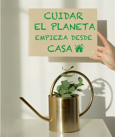 Acciones Para Cuidar El Medio Ambiente Desde Casa Ritual D Co