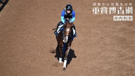 【京都大賞典 2022】最終追い切りを動画で解説井内利彰 競馬予想動画