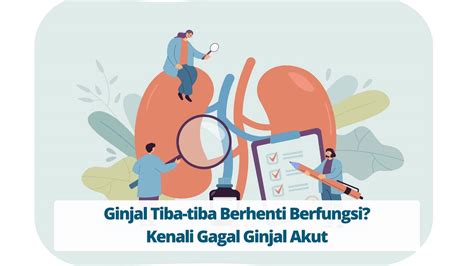 Gagal Ginjal Akut Saat Ginjal Tiba Tiba Berhenti Berfungsi Primaya