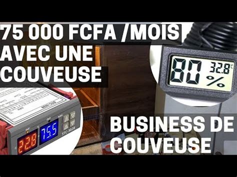 M Partie Comment R Ussir Dans Le Business De Couveuse Youtube