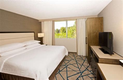 Embassy Suites Seattle Bellevue Hotel In Bellevue Wa Room Deals Photos And Reviews