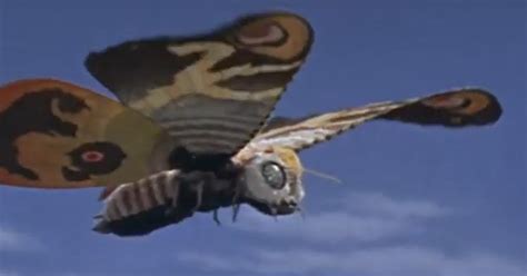 Thunderllamas Various Exploits Godzilla Month Mothra 1961 Movie Review