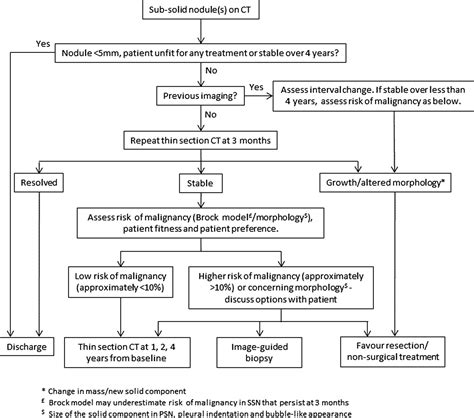 The British Thoracic Society Guidelines On The Investigation And