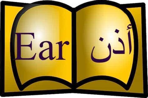 The Topic Ear Mentioned In Quran The Last Dialogue