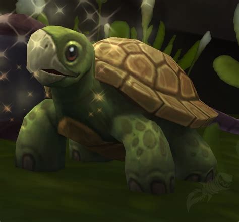 Dalaran Sewer Turtle NPC World Of Warcraft