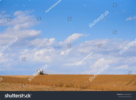 Farmer Picking Soybean Over 250 Royalty Free Licensable Stock Photos