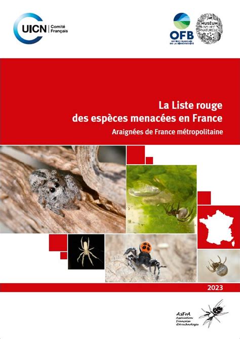 Parution de la Liste rouge nationale des araignées de France