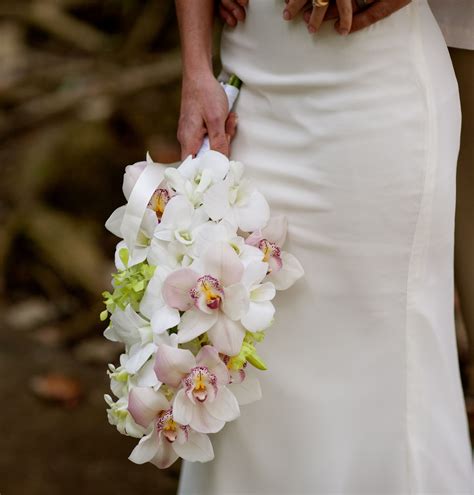 Light Pink Cymbidium Orchidswhite A Green Dendrobium Orchid Cascading