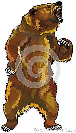 Angry Grizzly Bear Cartoon Vector | CartoonDealer.com #30452175