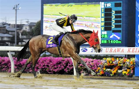 【地方競馬】雨中の牝馬重賞をスティールルージュが逃げ切り勝ち！快速を生かして昨春以来の勝利飾る 競馬ニュース Netkeiba