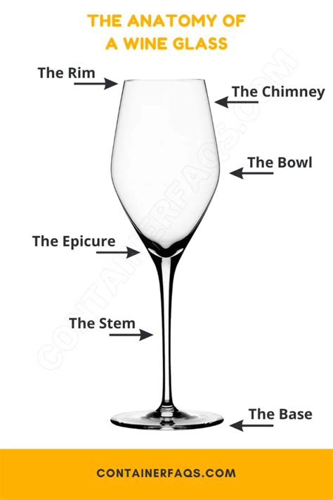 The 4 Types of Champagne Glasses, Including the One You Didn't Know About - Container FAQs