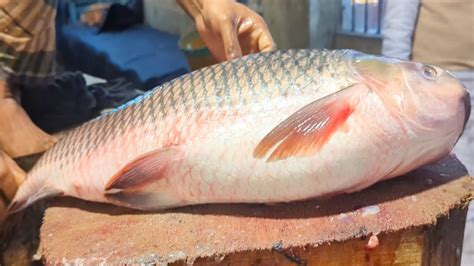 Amazing Rohu Fish Cutting Skills In Bangladesh Fish Market By Expert