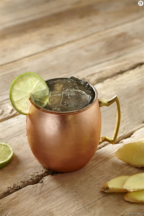 La Recette Du Cocktail Moscow Mule Terrafemina