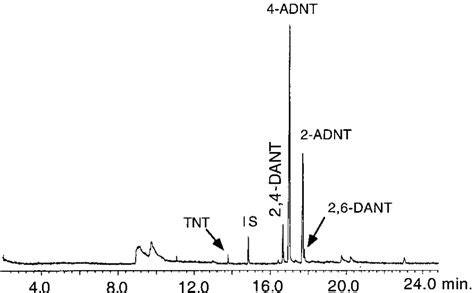 Spme Gc Ms Total Ion Chromatogram Of Tnt After H Of Treatment With