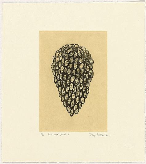 Fruit And Seeds 2 2000 By Judy Watson 1959 · Australian Prints