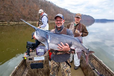 Mdc Reminds Snaggers That Paddlefish Season Begins March 15 Missouri