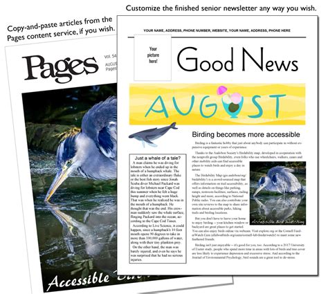 Senior Newsletter Pages