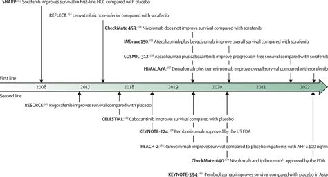 Hepatocellular Carcinoma The Lancet