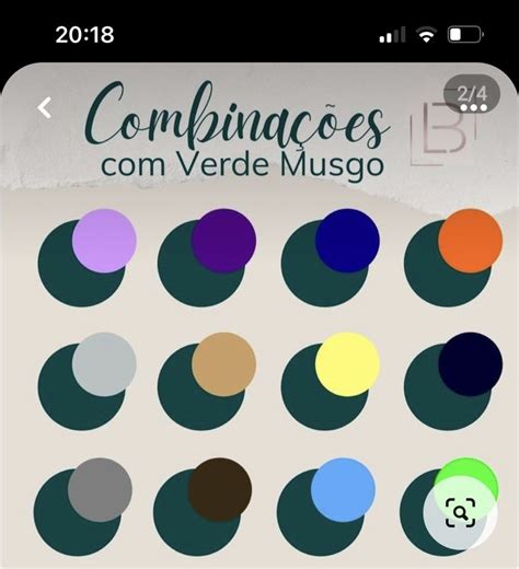 Pin De Ruth Oliveira Em Cores Do C Rculo Cromatico Combina Es De