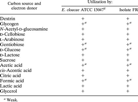 Biochemical Characteristics Of E Cloacae Atcc 13047 T And E Cloacae Fr Download Table