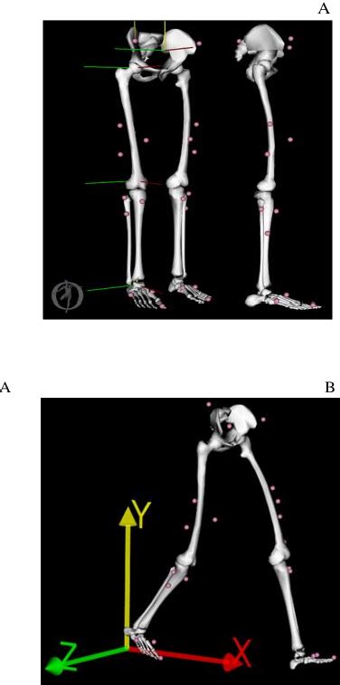 Figure 2 From Application Of A Functional Method For Subject And Motion