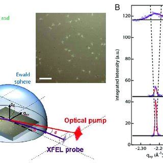 A A Schematic Diagram Of Femtosecond X Ray Diffraction The Specular