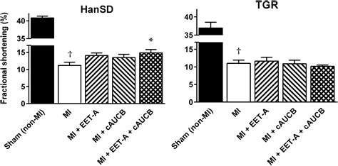 Frontiers Epoxyeicosatrienoic Acid Based Therapy Attenuates The