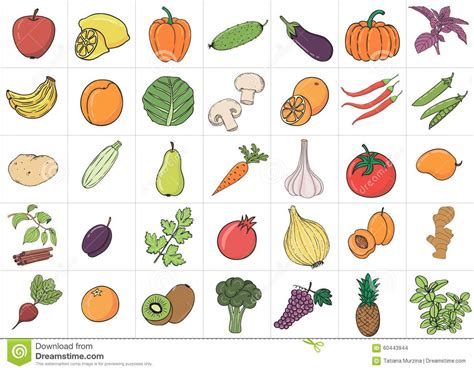 Fruits And Vegetables Drawing at PaintingValley.com | Explore ...