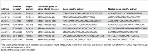 Primers Used For Modified Rlm Race Mapping Of The Mirna Cleavage