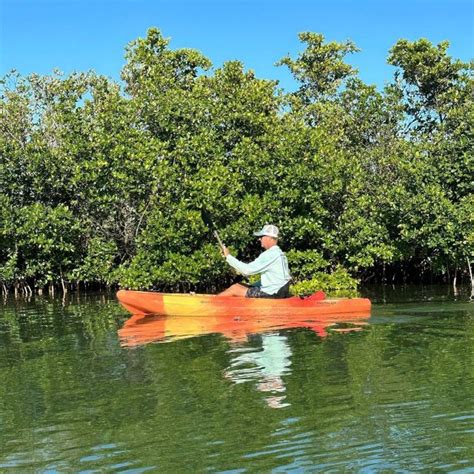 Excursión a los manglares de Robinson Preserve GetYourGuide