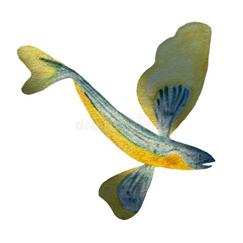 Watercolor Hand-drawn Fish on White Stock Illustration - Illustration ...