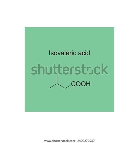 Isovaleric Acid Skeletal Structure Diagramhemiterpenoid Molecule Stock ...