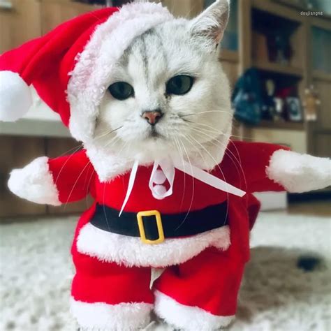 Kedi Kostümleri Kış Noel Pet Komik Noel Baba Kıyafetleri Küçük Kediler