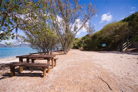 Sandy Bay, South Molle Island | Molle Islands National Park | Parks and forests | Department of ...