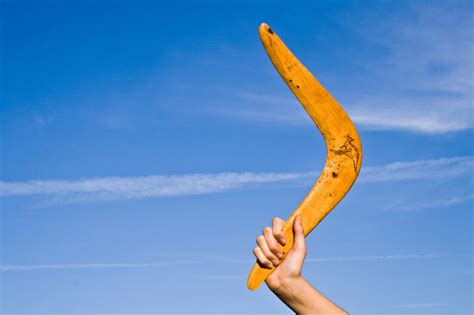 El Boomerang Del Dolor Una Familia Como Dios Manda El Pulso De La Vida