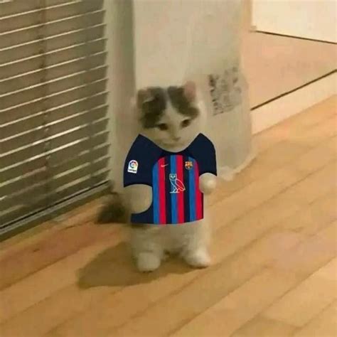 Visca Barca Anime Cat Otaku Anime Cats