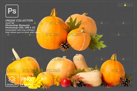 Halloween clipart Halloween overlay, Photoshop overlay - FilterGrade