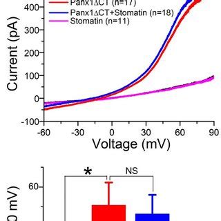 Truncation Of The Panx Carboxyl Terminal Abolished The Inhibitory