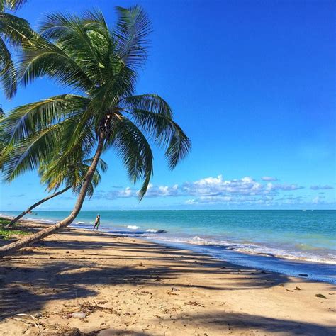 Essa A Praia Do Patacho Que Visitamos Hoje Durante O Passeio Em S O