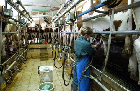 Haute Loire Les producteurs de lait vont enfin être mieux payés