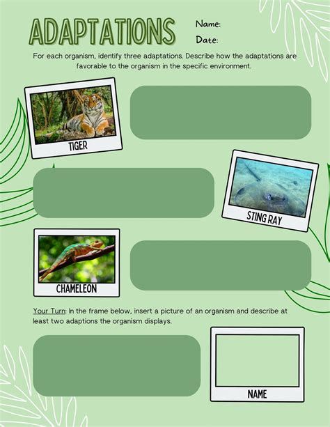 Free Custom Printable Science Worksheet Templates Canva Worksheets