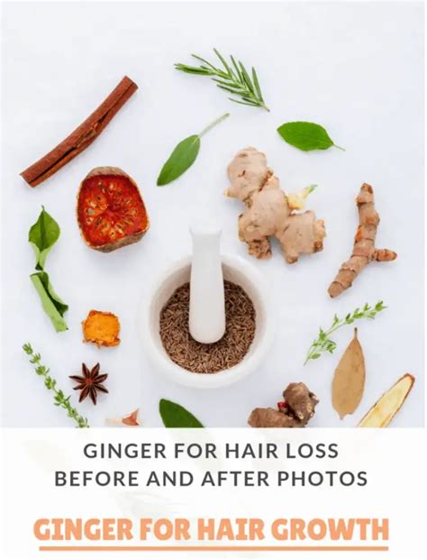 Ginger For Hair Loss Before And After Effects Step By Step Guide