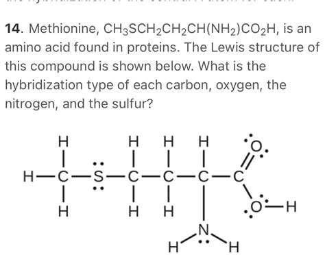 Solved Methionine Ch Sch Ch Ch Nh Co H Is An Amino Acid Found