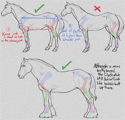 Horse Drawing Tutorial Drawing Tips Drawing Reference Hand Reference