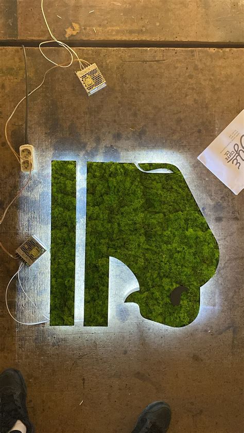 Real Moss Live Moss Art Real Moss Decor Moss Art Moss Decor Office