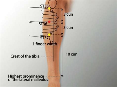 How To Moxibustion For Facial Paralysis Moxabio