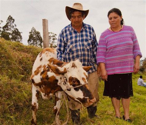 Minagricultura Presenta En Italia Oportunidades Para Invertir En La