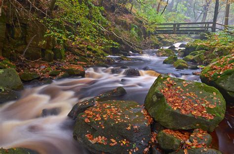 Autumn Woodland at Padley Gorge — Nickscape